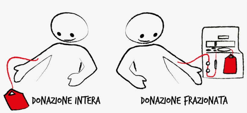 Donare Il Sangue, transparent png #7154384