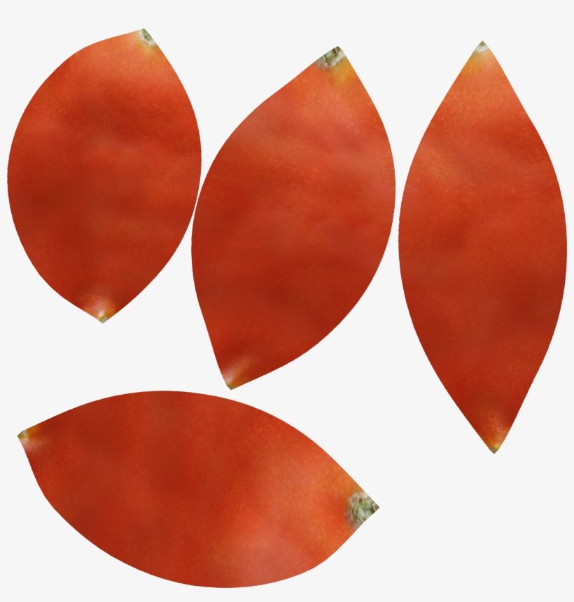 Twitter, transparent png #7156163