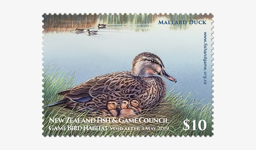 2018 Game Bird Habitat Single Stamp, transparent png #7157208