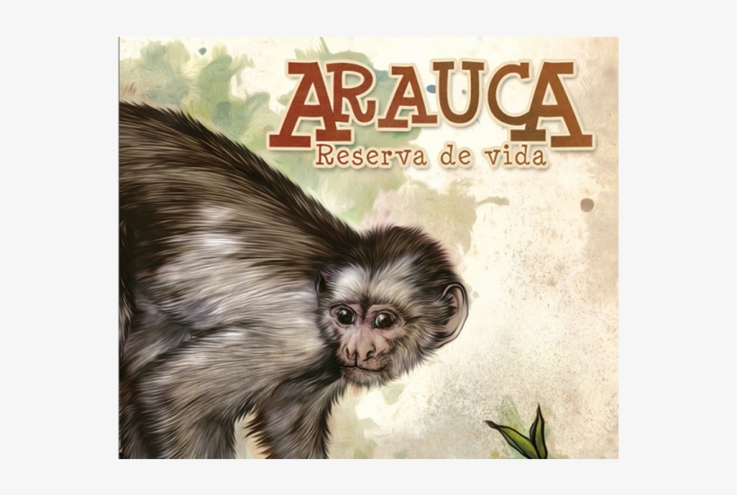 Arauca Reserva De Vida, transparent png #7157603