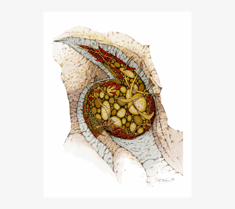 Image Of Granite Pothole, transparent png #7158834