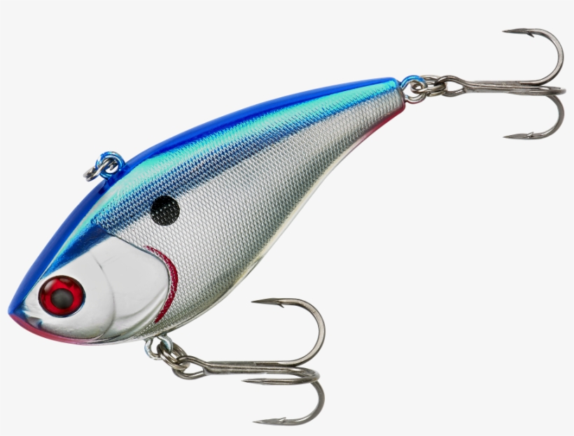 Blue Shiner, transparent png #7163527