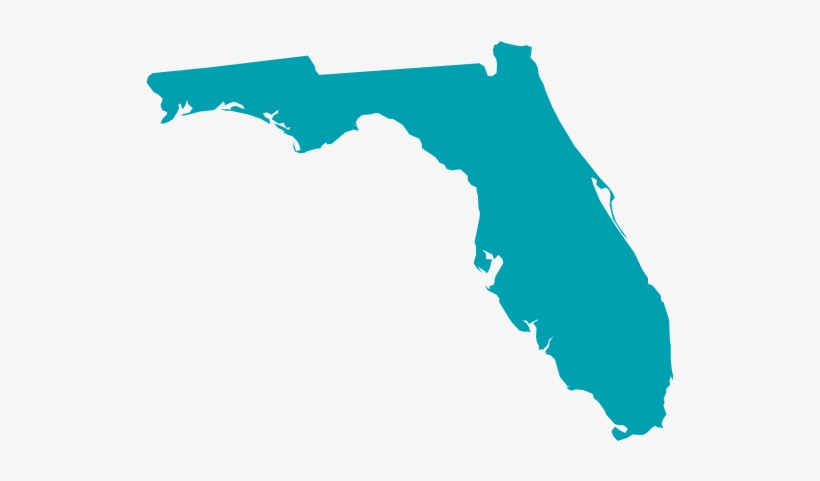 Molina Healthcare Begins Serving Communities In Florida, transparent png #7163798