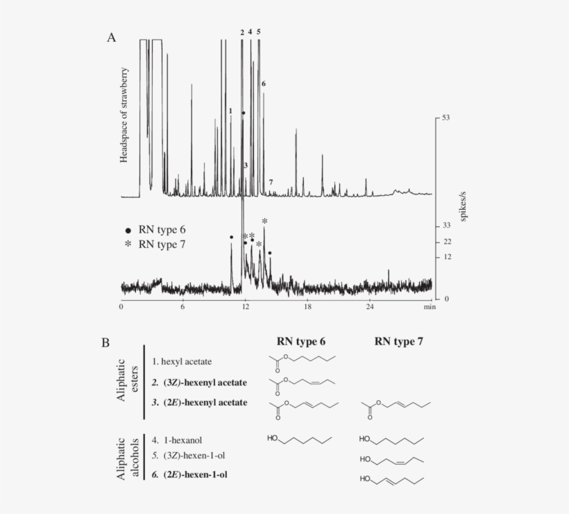 A) Gas Chromatogram Of The Headspace Sample Of Cut, transparent png #7163952