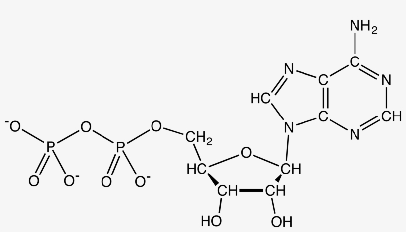 File - Adpchemdraw, transparent png #7164561