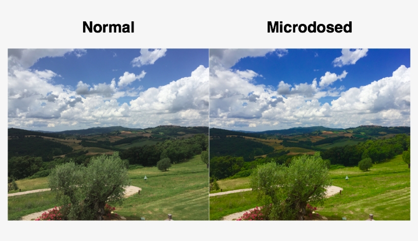 I Had Maybe 10% Of This Enhancement From Microdosing, transparent png #7166201