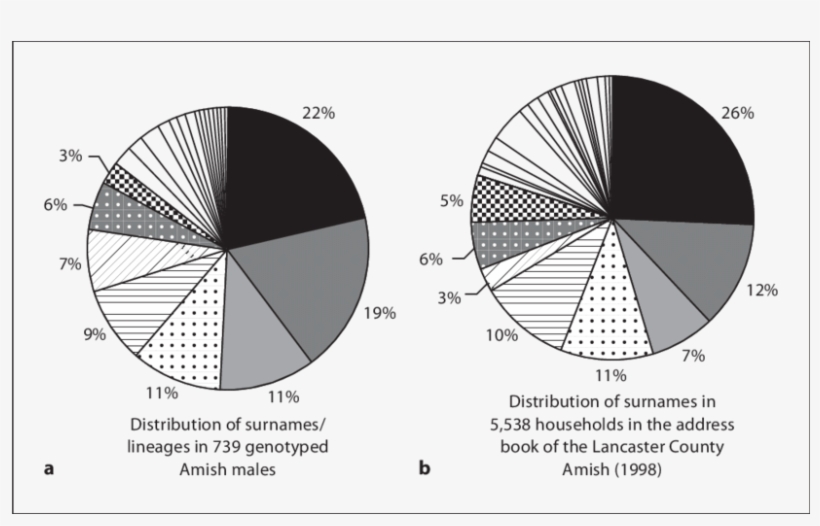 Of Surnames And Lineages In Our Sample Of 739 Genotyped, transparent png #7166300