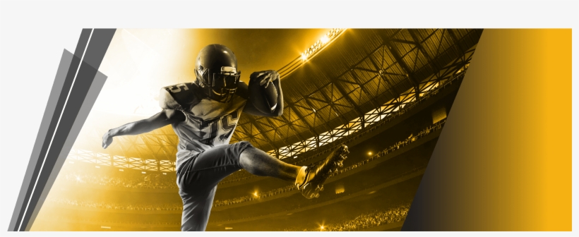 Gallery, transparent png #7166703