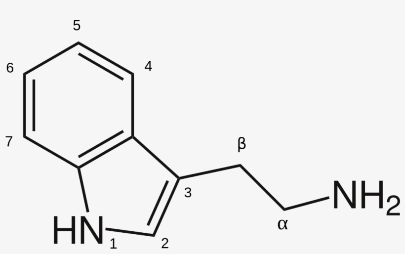 Lsd Tab Png, transparent png #7167200