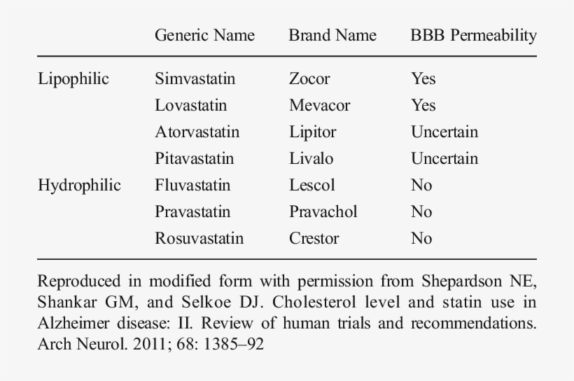 Statins And Their Ability To Permeate The Blood Brain, transparent png #7168889