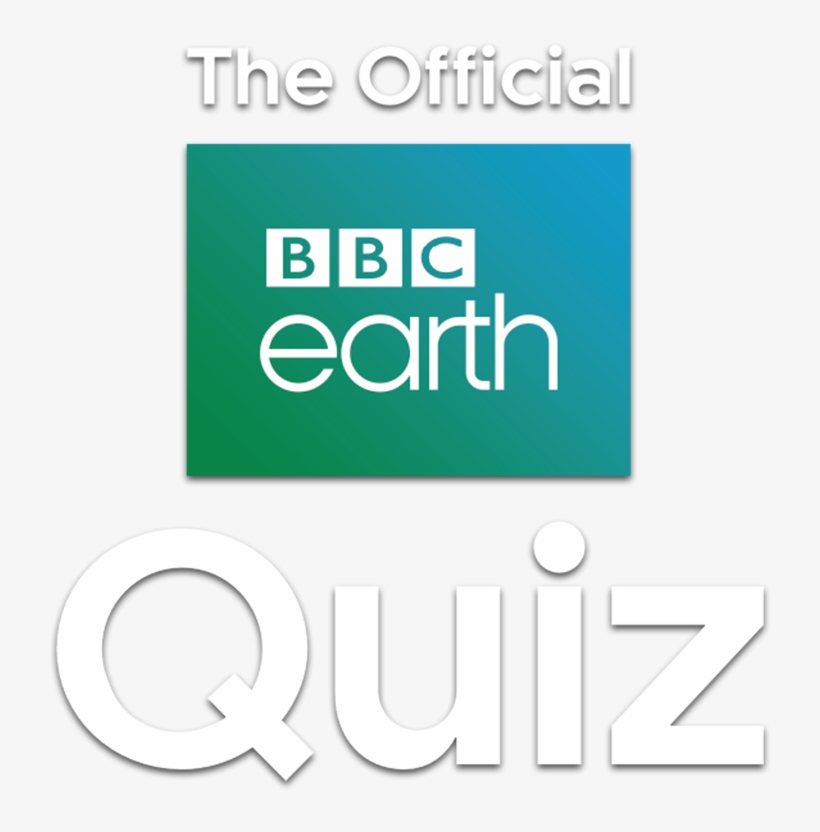 The Official Bbc Earth Quiz Will Test The Knowledge, transparent png #7169351