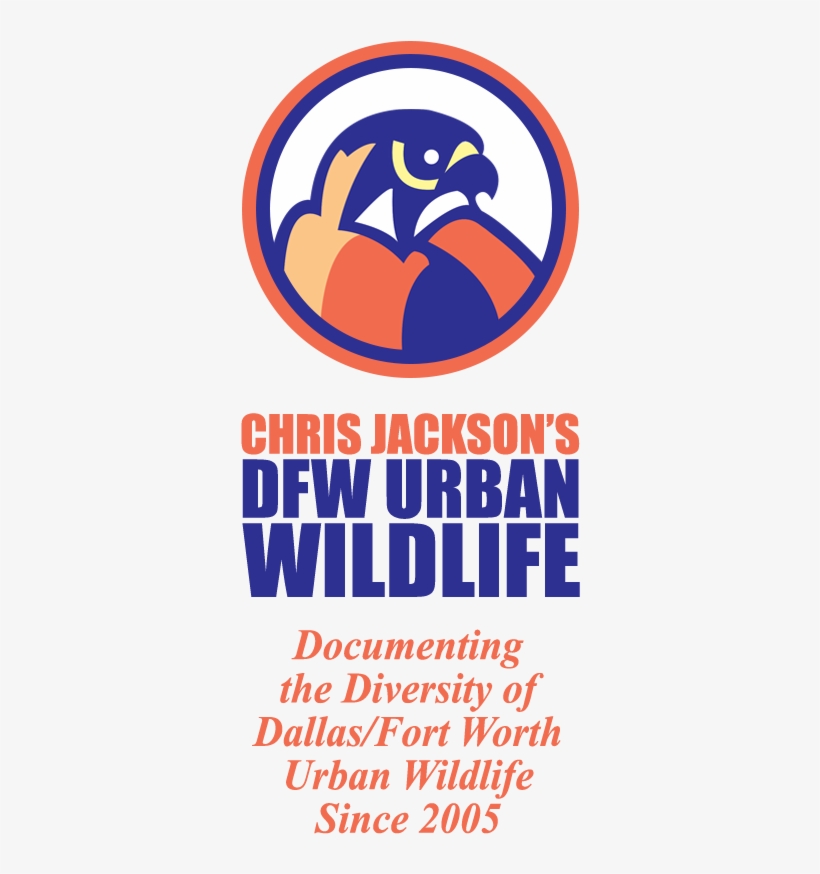 Dfw Urban Wildlife, transparent png #7171562