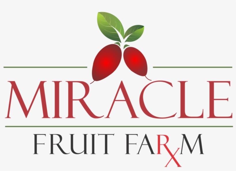 Miracle Fruit Farm, Llc- Fresh Miracle Berries & More, transparent png #7184391