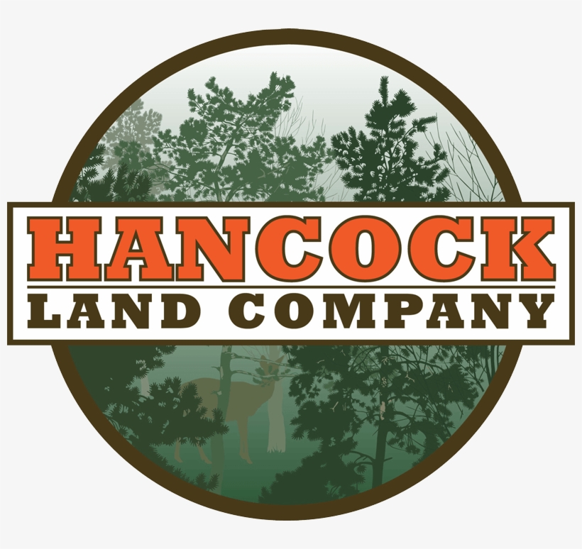 Buy Logs In Maine At Hancock Lumber, transparent png #7187232