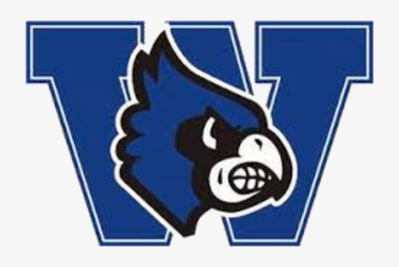 The Marquette Mustangs Defeat The Washington Bluejays, transparent png #7190669