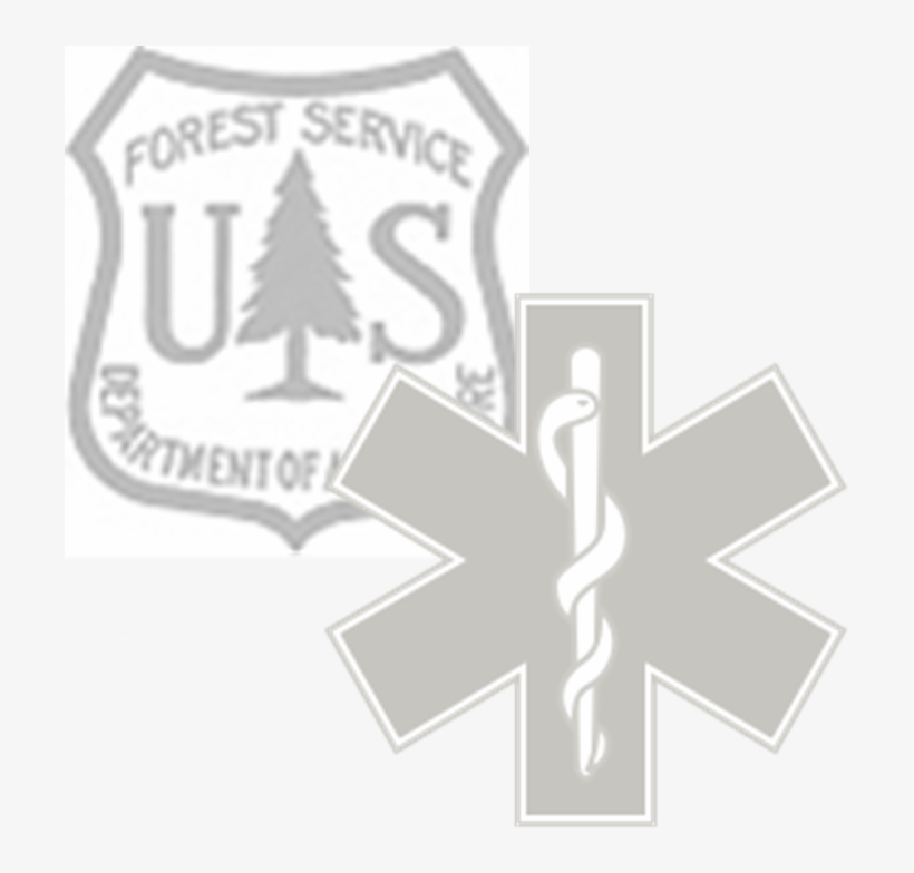 Ems Fs Sheild Logo, transparent png #7193240