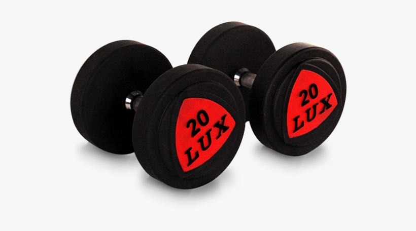 Dp-02 Gym Equipment Dumbells/rubber Dumbbell Wholesale, transparent png #7193898