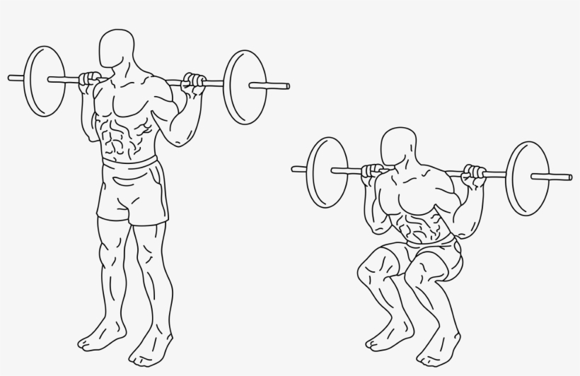 2000px-squats - Svg, transparent png #7194848