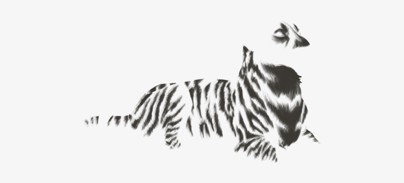 Hyena Png, transparent png #7196386