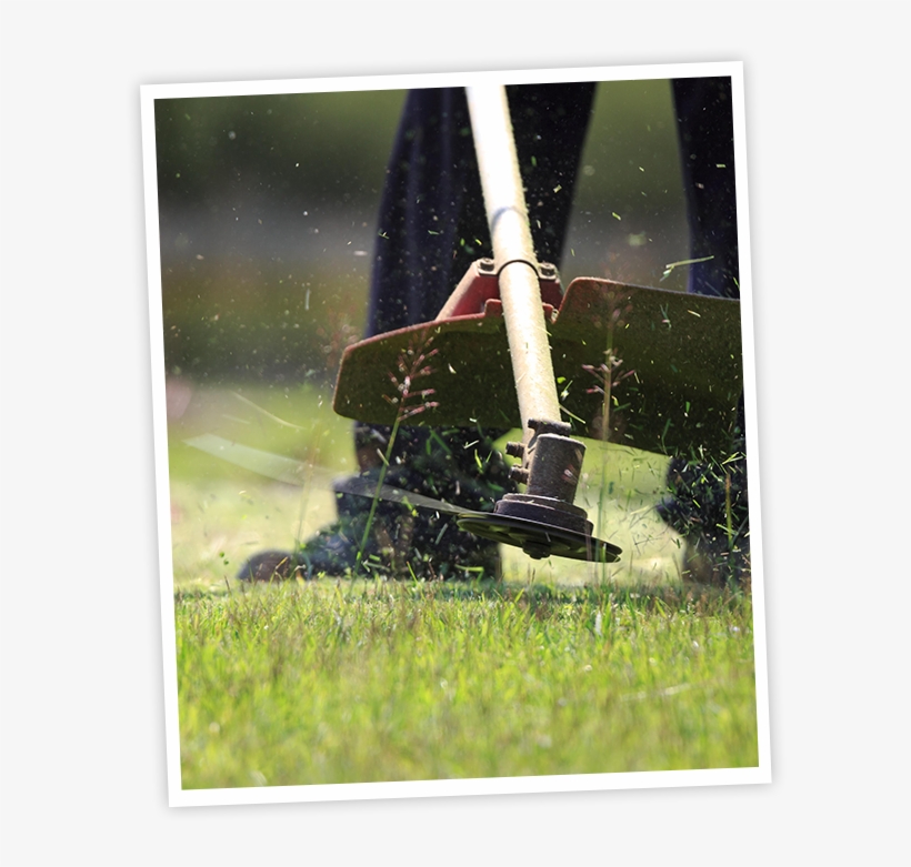 Maintenance Lawn Cutting, transparent png #7197295