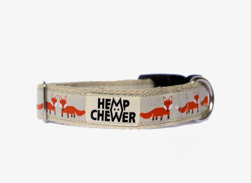 Hempchewer Foxy 25mm Collar, transparent png #7197365