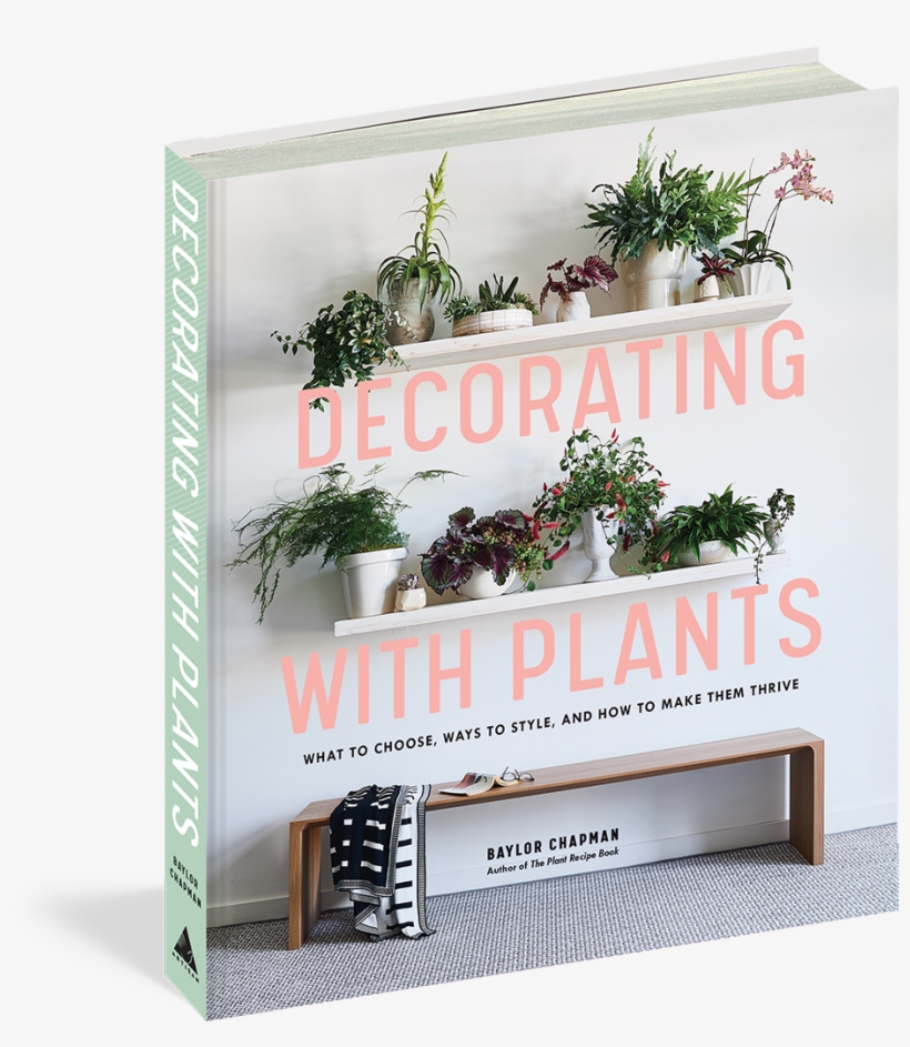 Hanging Plants Png, transparent png #7197370