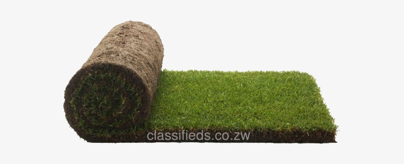 Lawn Png, transparent png #7197579