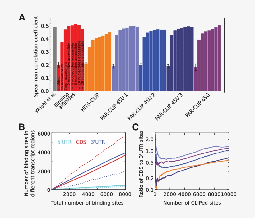 Predictive Power Of Gld 1 Binding Motifs, transparent png #7197961
