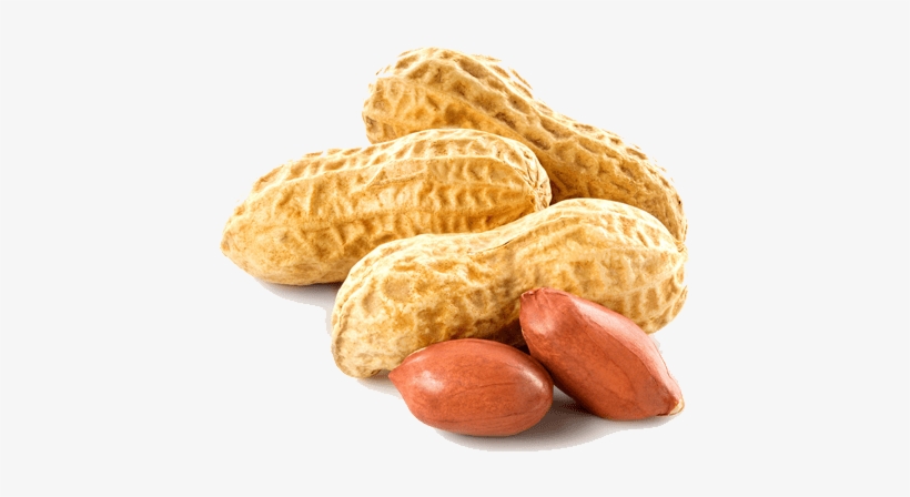 Transparent Peanut - Peanut Png, transparent png #720035