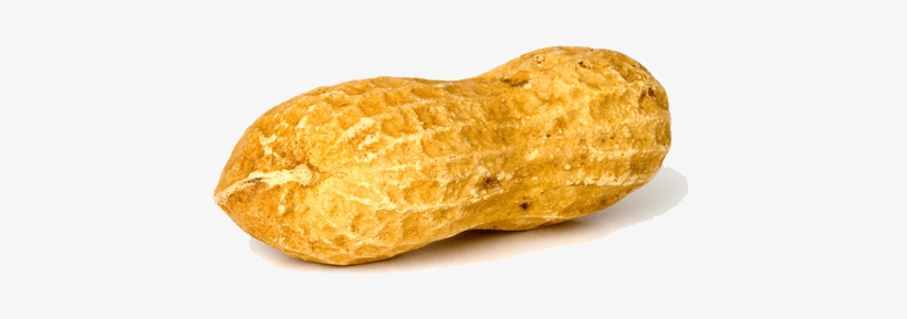 Nuts - Peanut Png Transparent, transparent png #720079
