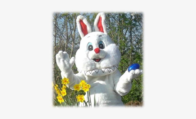 Image017 - Easter Bunny, transparent png #720302