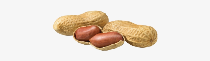 Peanut Png Transparent - Peanut, transparent png #720352
