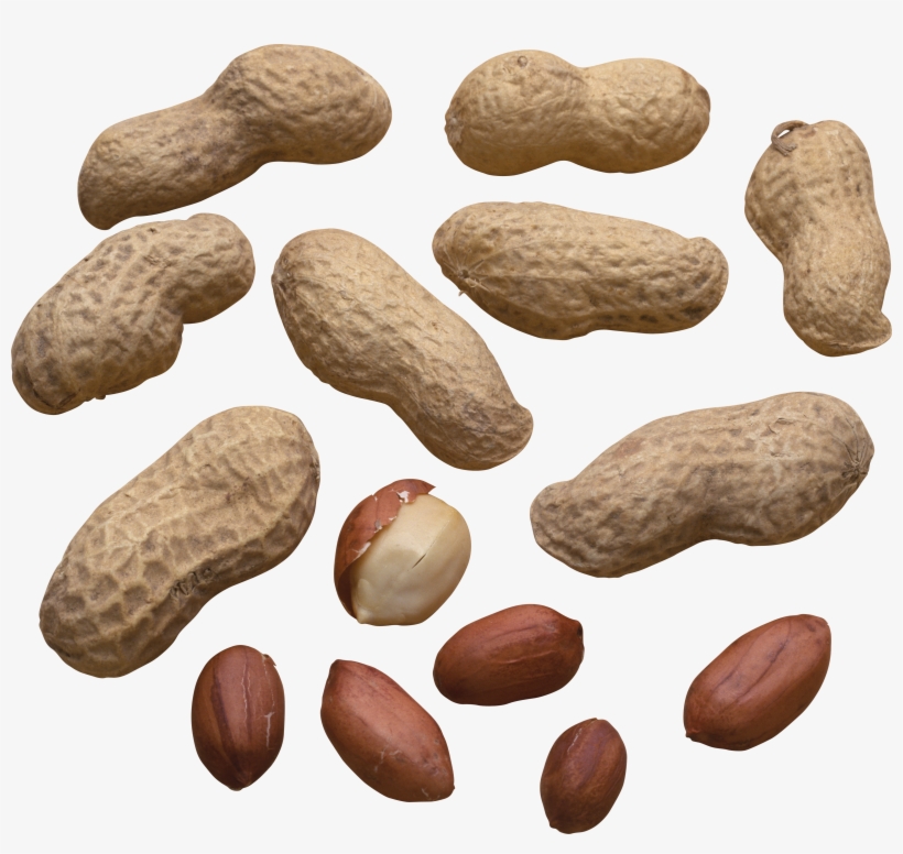 Peanut Png - Scattered Peanuts, transparent png #720512
