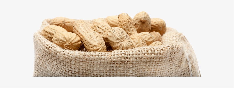 Bag Of Peanuts - Peanut, transparent png #720546