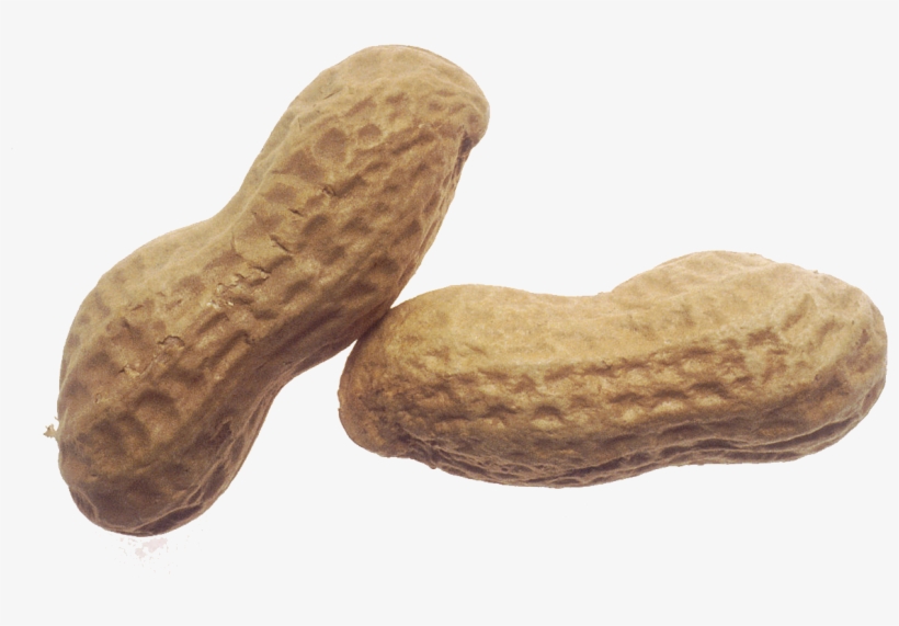 Peanut Png, transparent png #720616