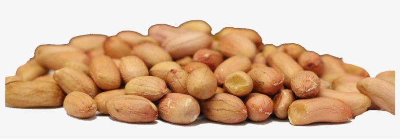 Raw Peanuts - Russet Burbank Potato, transparent png #720671