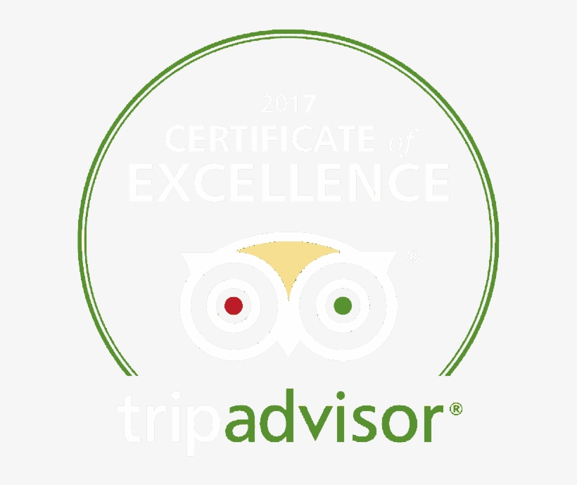 Social - Circle, transparent png #720695