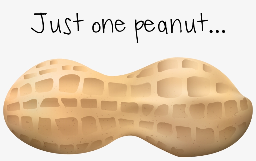 Transparent Peanut One Vector Library, transparent png #721286