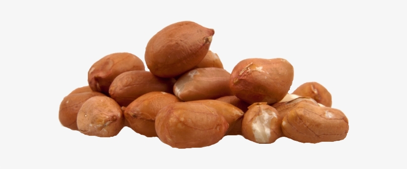 Df 47 Peanut Plain Kernel - Peanut Without Shell, transparent png #721351
