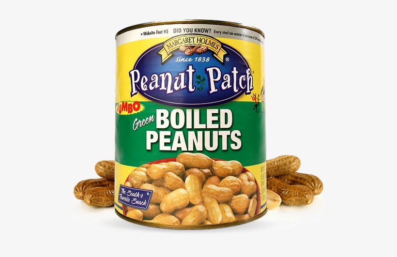 Nut Clipart Boiled Peanut - Margaret Holmes Peanut Patch, transparent png #721655