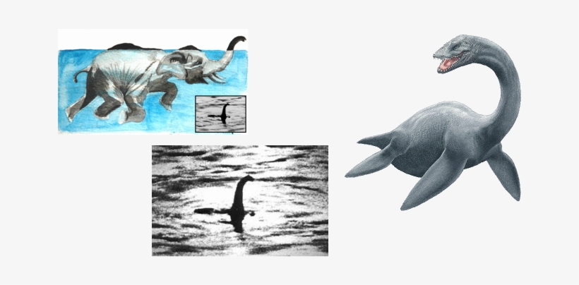 Images Of The Loch Ness Monster - Believe. (nessie) Bumper Sticker, transparent png #721682