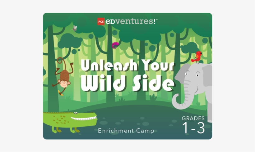 Illustration, transparent png #721904