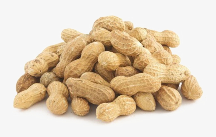 Peanut In Shell - Transparent Background Peanut Png - Free Transparent