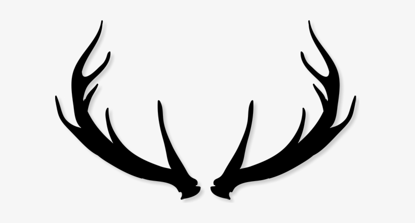 Deer Antlers Silhouette Png - Rustikale Geweih-hochzeits-einladung Karte, transparent png #722260