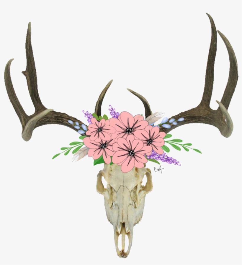 Skull Antlers Flowers Freetoedit - Deer Head Skull Png, transparent png #722573