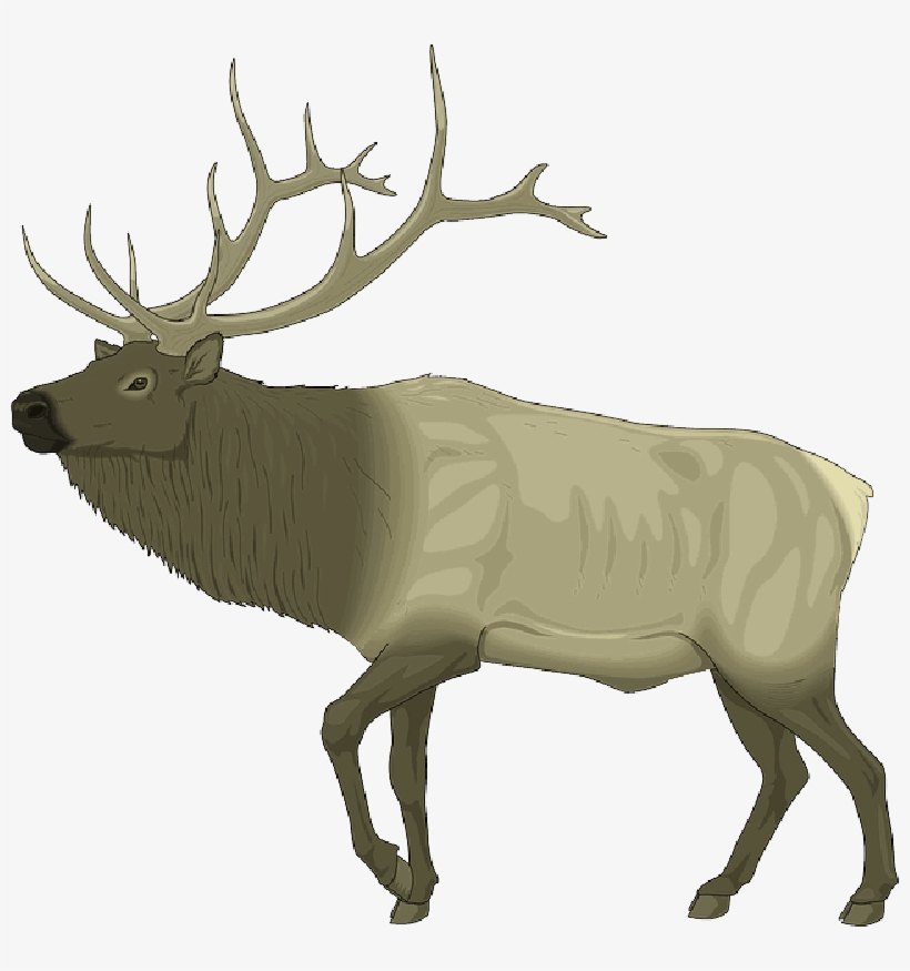 Mb Image/png - Elk Clip Art Free, transparent png #722576