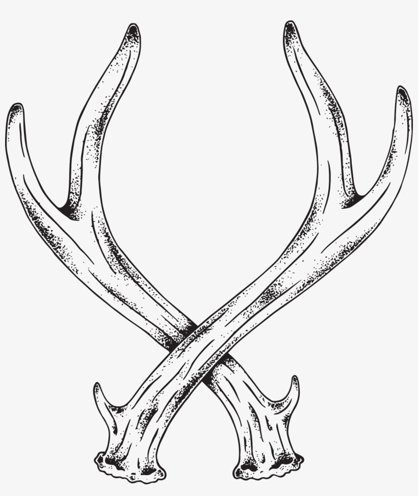 Drawn Antler Transparent - Antlers Drawing Png, transparent png #722595