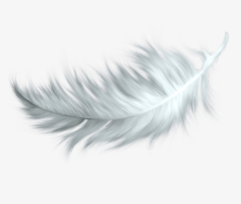 White Feather Transparent Png - Feather Transparent Background, transparent png #722911