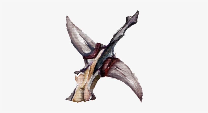 Into Watercolour Painting In Alphabetical Order, And - Tree, transparent png #722915