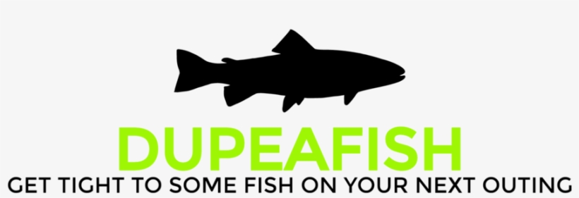 Dupeafish-logo, transparent png #723463